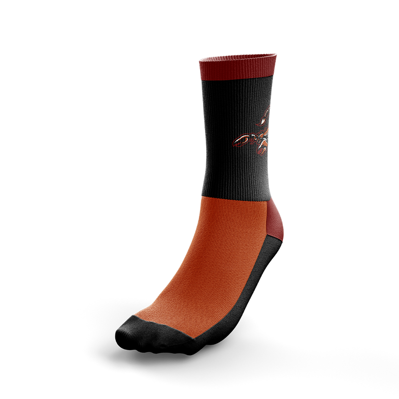 Arizona Scorpions Socks