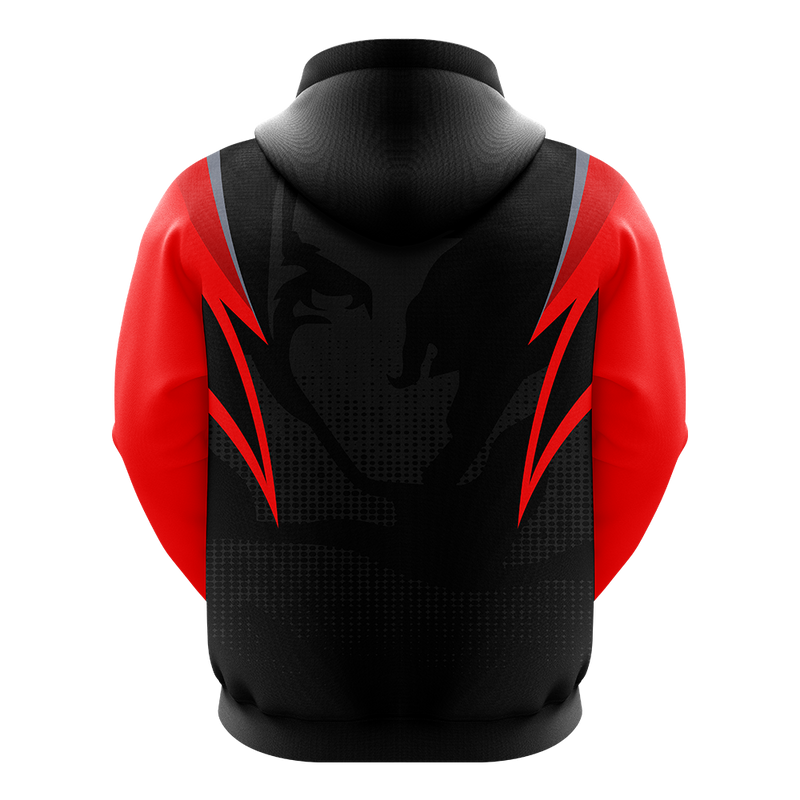 Asylum Gaming Pro Hoodie