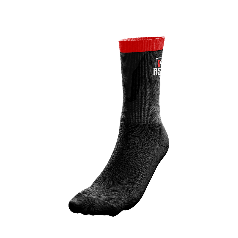 Asylum Gaming Socks