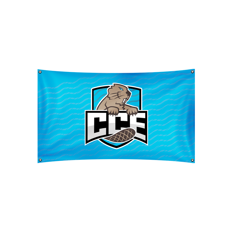 Champlain Esports Flag