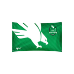 UNT Esports Flag