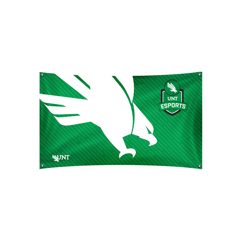 UNT Esports Flag