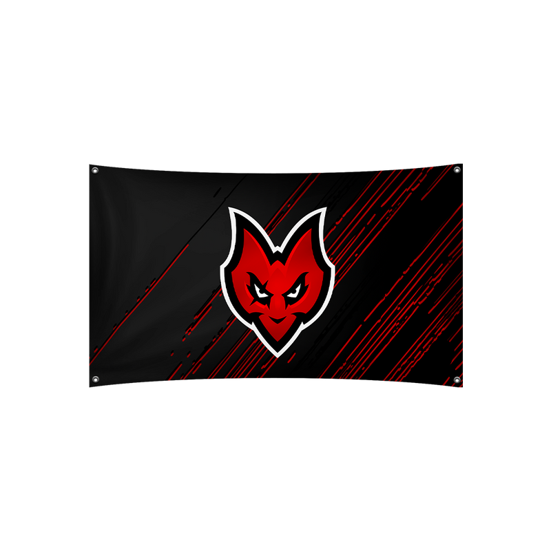 Projekt Evil Flag