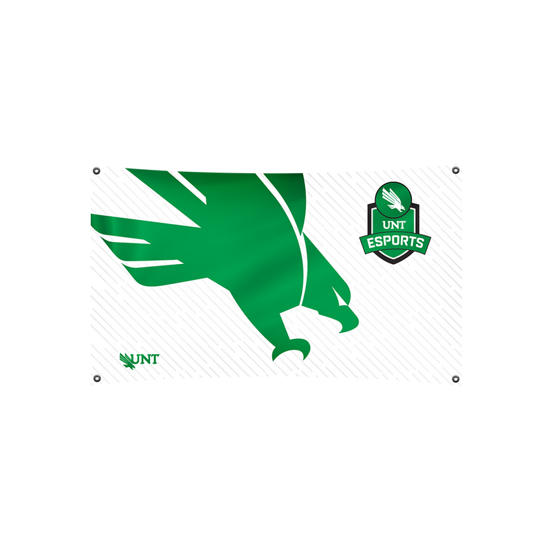 UNT Esports Flag