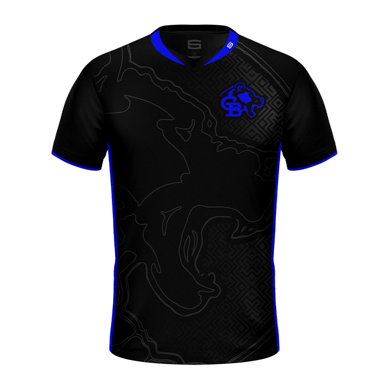 Cedaredge Bruins Esports Pro Jersey