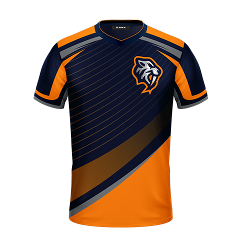 Team Revenant 2018 Jersey