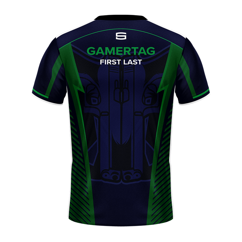 sTs Gaming Pro Jersey