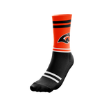 Chicago Wildcats Socks