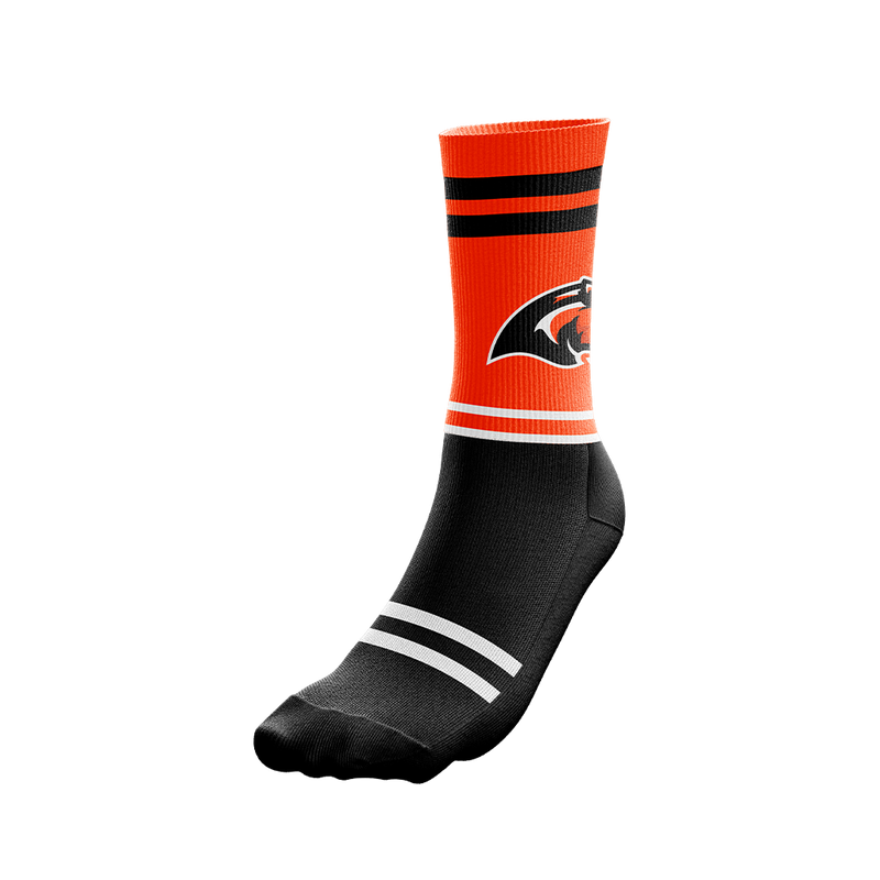 Chicago Wildcats Socks