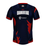 Team Disrupt VI Series Jersey