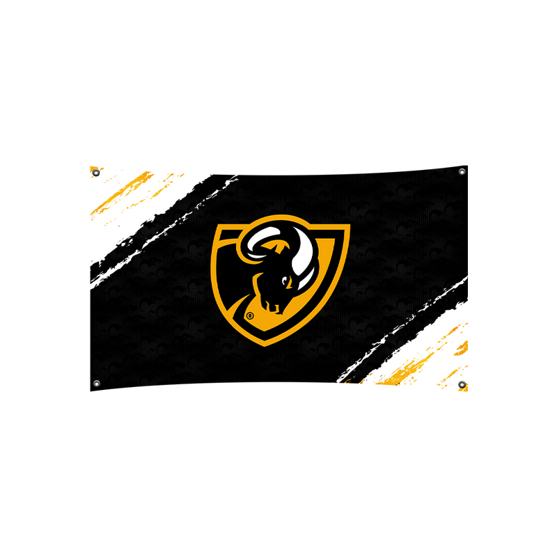 VCU Esports Flag