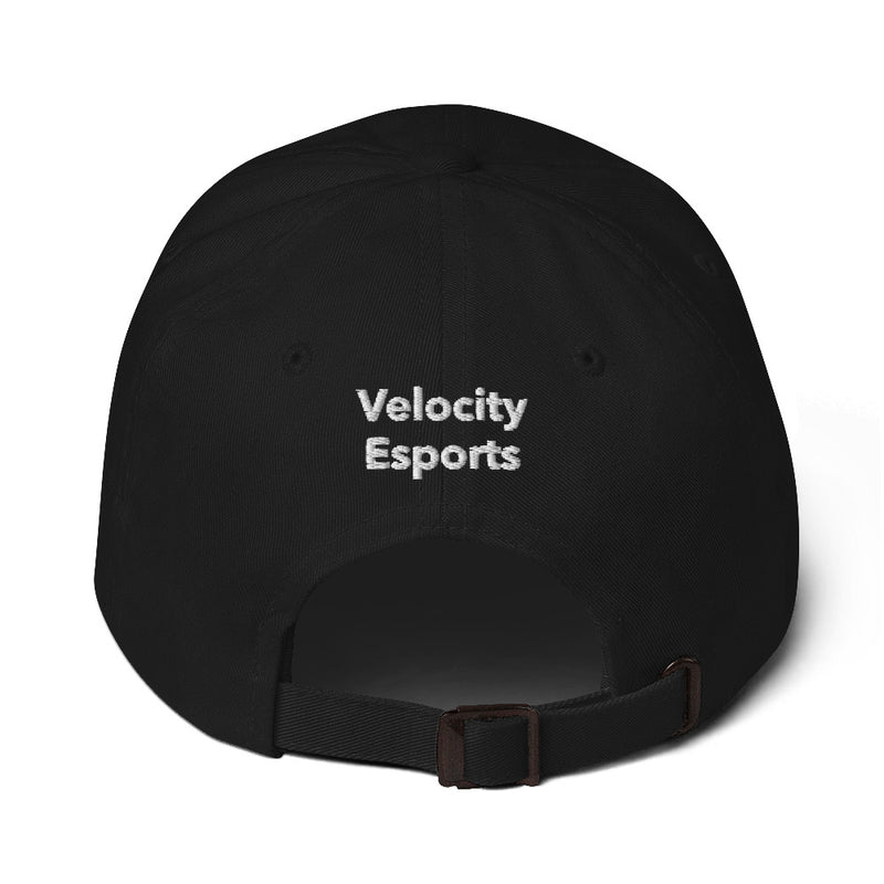 Velocity Esports Dad hat