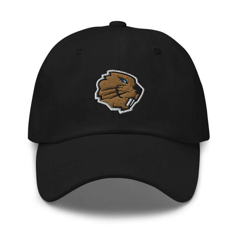 Champlain Esports Hat