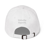 Velocity Esports Dad hat