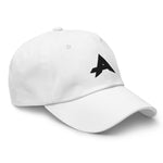 Team Arcane Hat