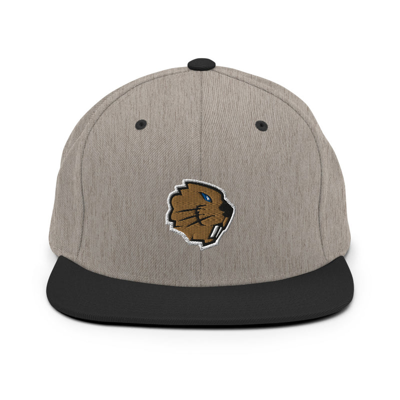 Champlain Esports Snapback