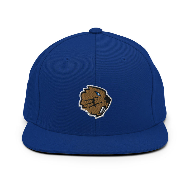 Champlain Esports Snapback