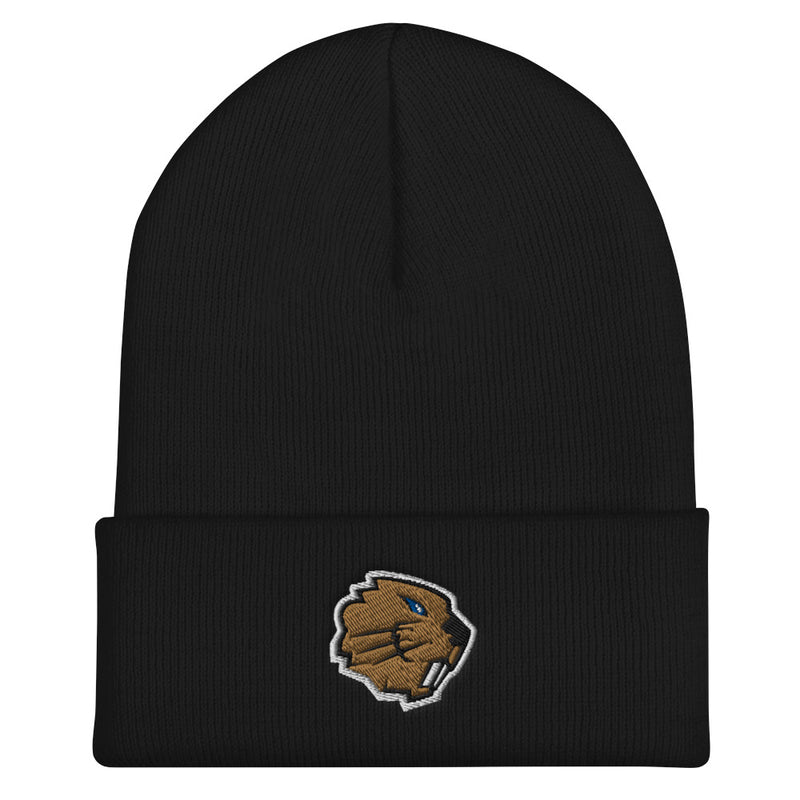 Champlain Esports Beanie