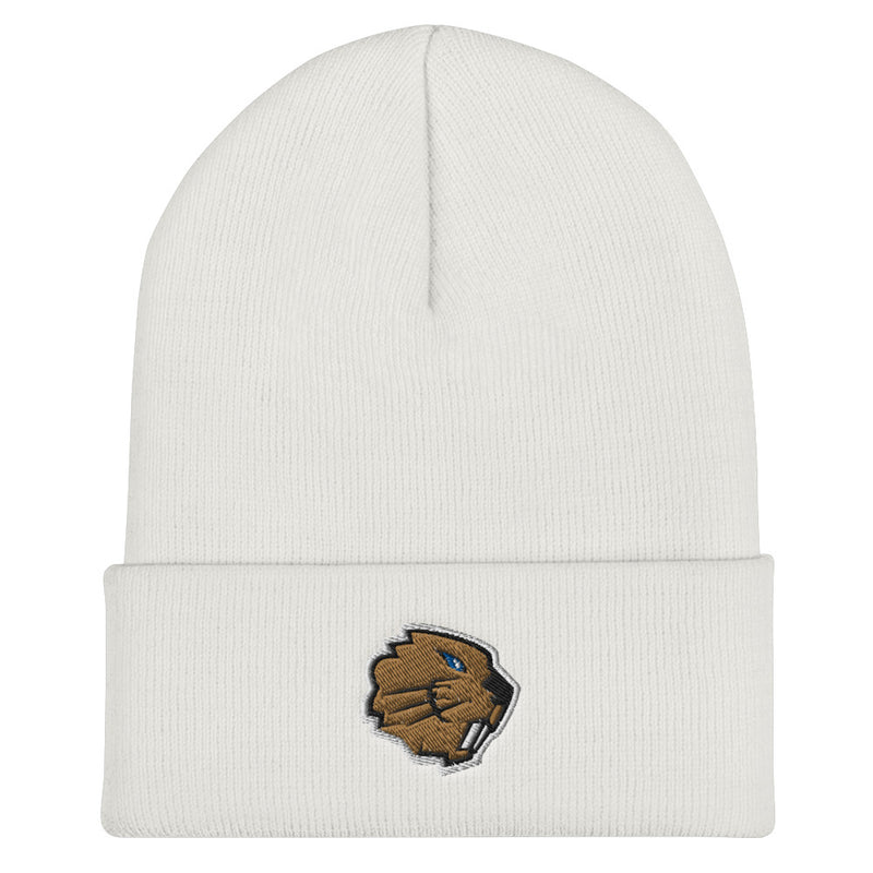 Champlain Esports Beanie