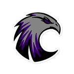 Ladyhawks stickers