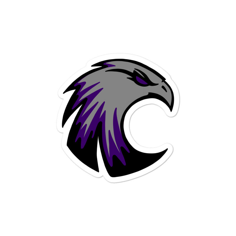 Ladyhawks stickers