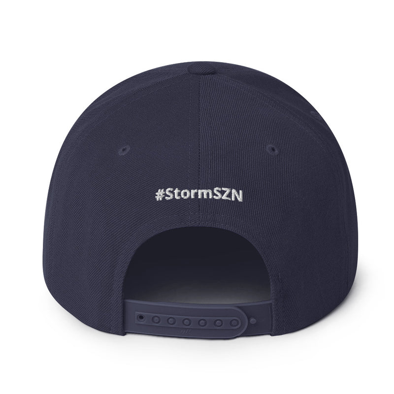 Florida Storm Snapback