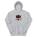 Team JUST VIB3 Logo Hoodie