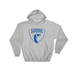 Carmel Esports Logo Hoodie