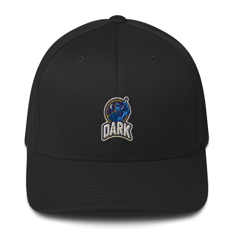 Team Dark Flex Fit