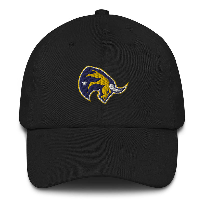 Fort Worth Toros Dad hat