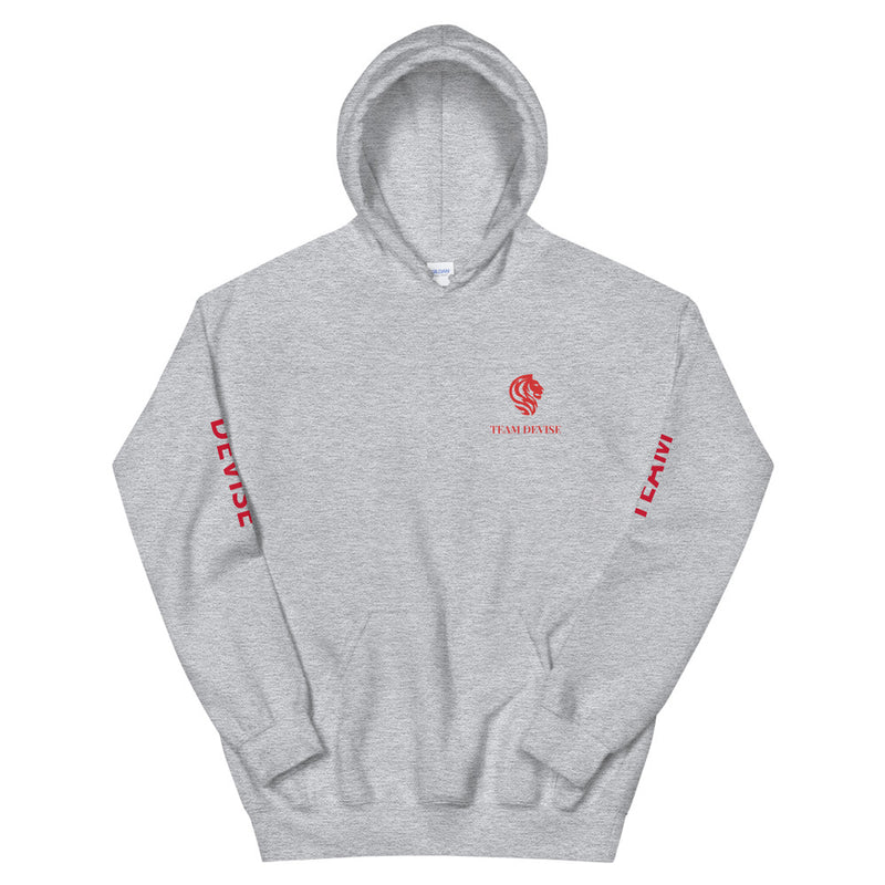 Team Devise Logo Hoodie