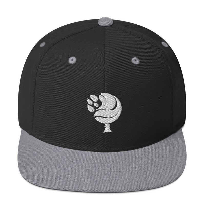 Sprucism Snapback