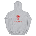 Team Devise Logo Hoodie