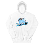 TooCold Gaming Logo Hoodie