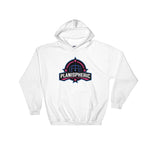 Planispheric Logo Hoodie