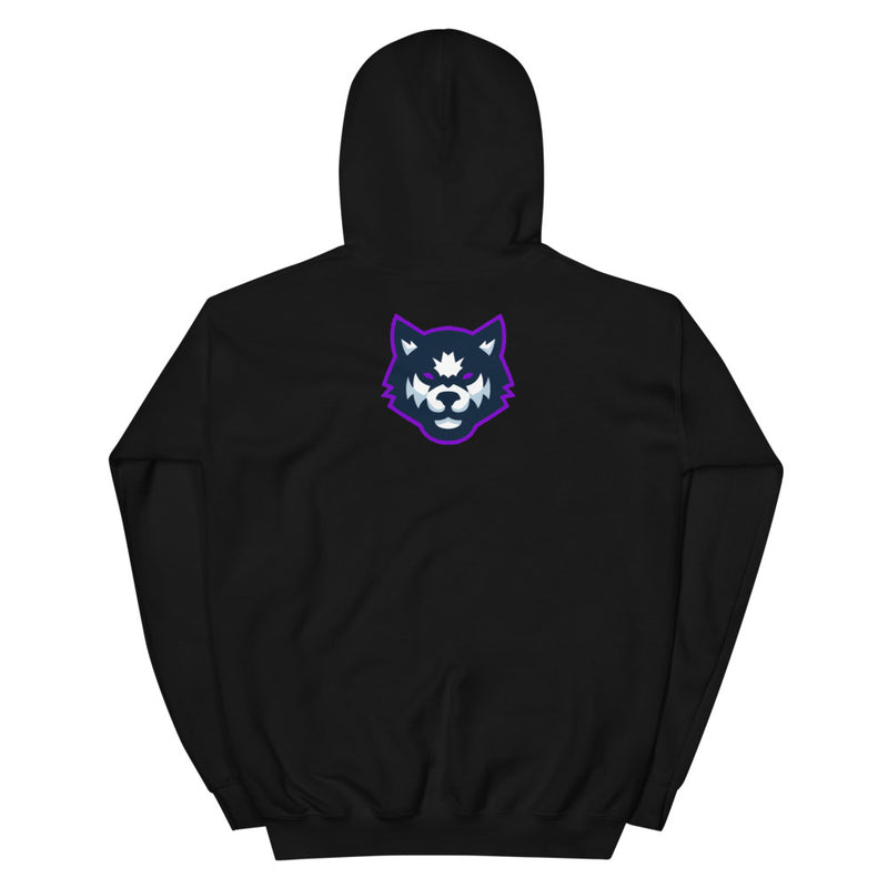 Team Mizar Hoodie