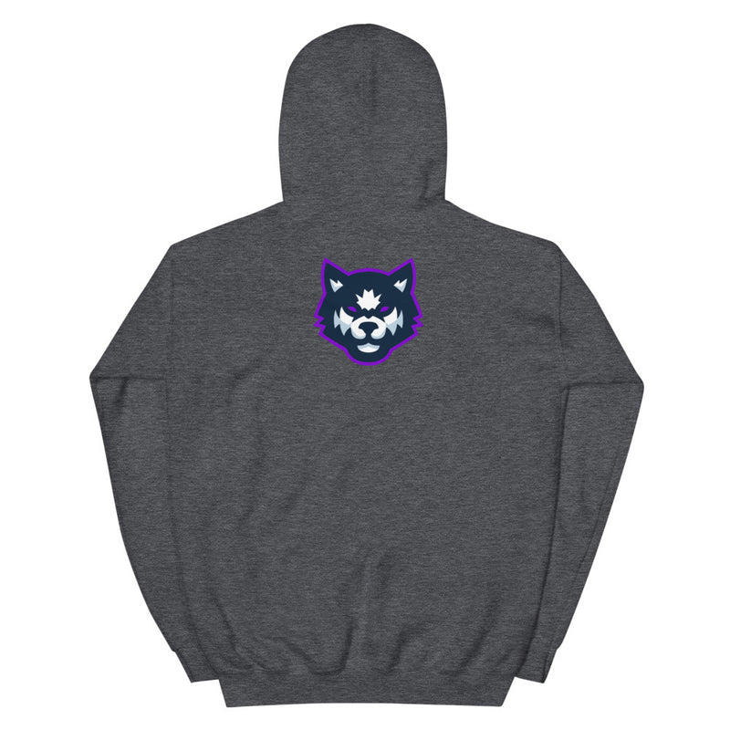 Team Mizar Hoodie