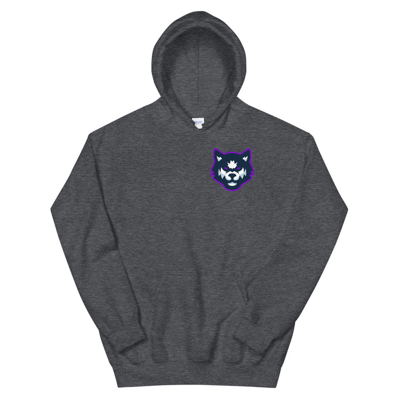 Team Mizar Hoodie