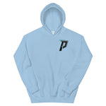 Panik Gaming Hoodie