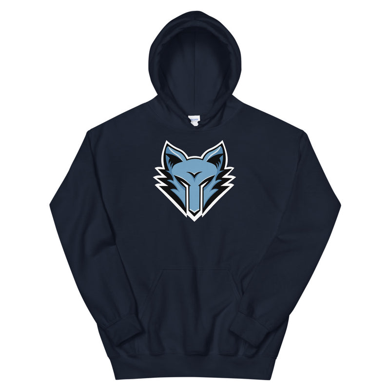 TheDireKnight Hoodie