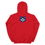 Team Mizar Hoodie