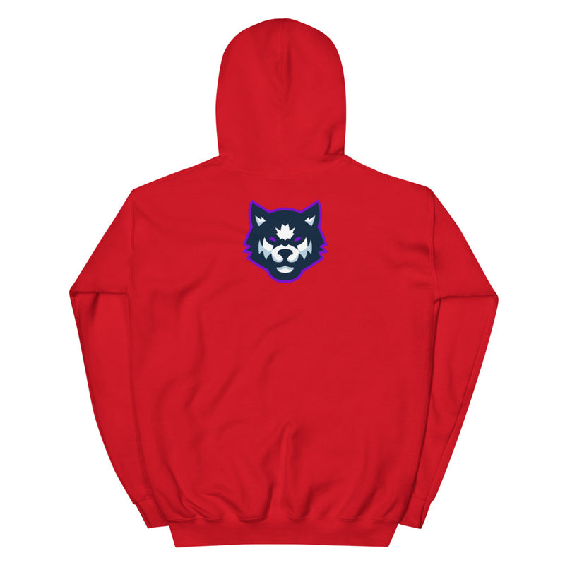 Team Mizar Hoodie
