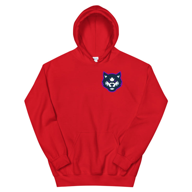 Team Mizar Hoodie