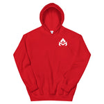 Team Aira Hoodie
