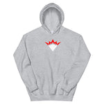 Team Enemies Hoodie