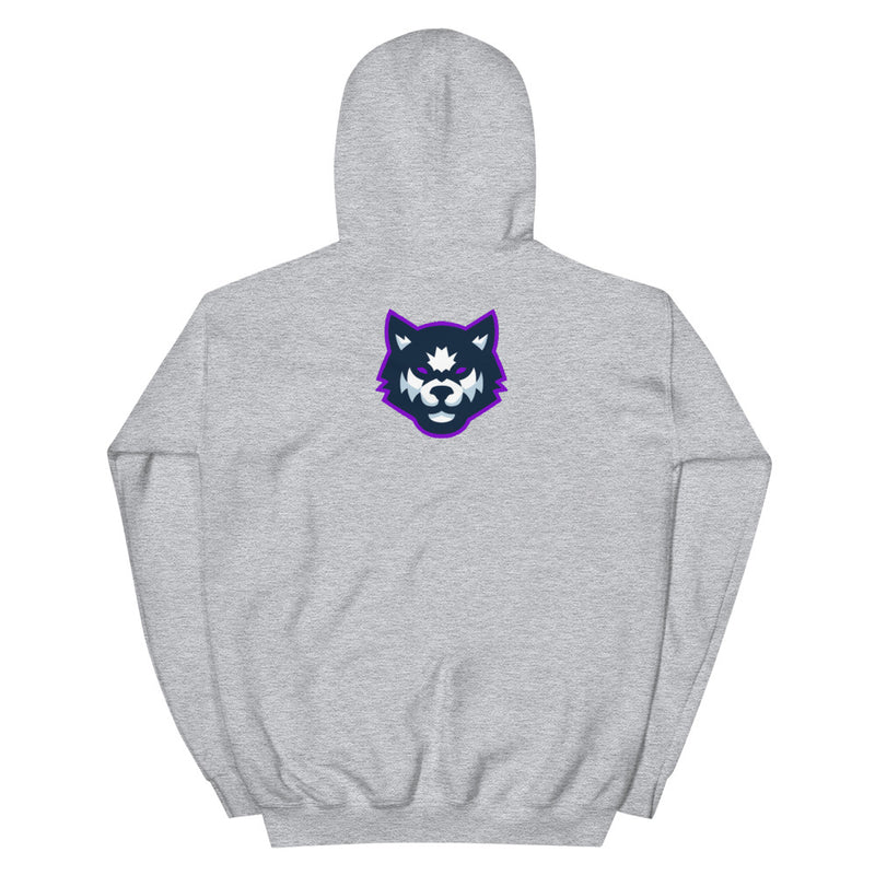 Team Mizar Hoodie