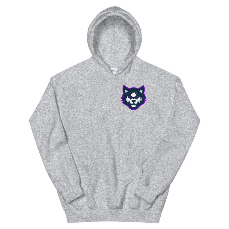 Team Mizar Hoodie