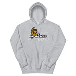 Informal Gaming Hoodie