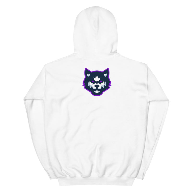 Team Mizar Hoodie