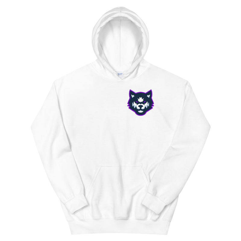 Team Mizar Hoodie